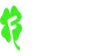 fortunica logo
